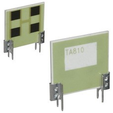 TA810PW100RJ|Ohmite