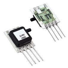 10 INCH-G-MV-MINI|All Sensors Corporation